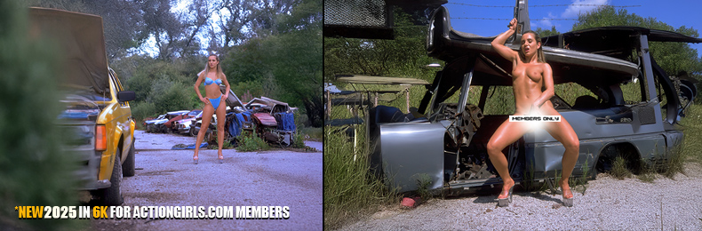 OVER 2 MILLION IMAGES AND 2000 VIDEOS FOR MEMBERS